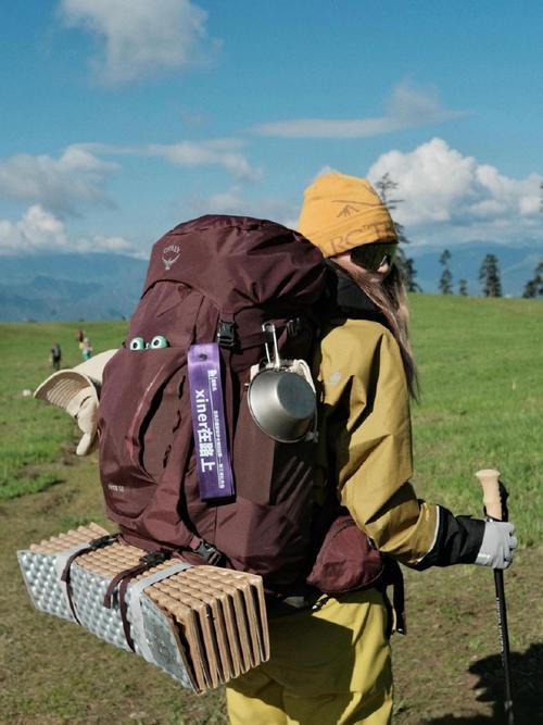 Embrace the Challenges and Chase Your Dreams